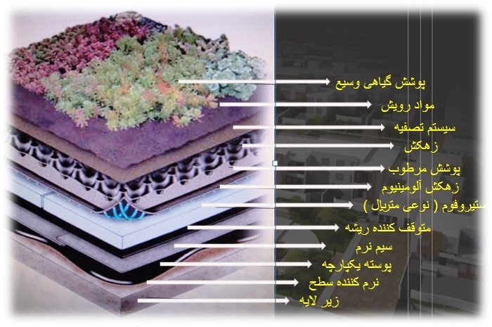 نقش گیاهان در بام سبز نقش گیاهان در اجرای بام سبز