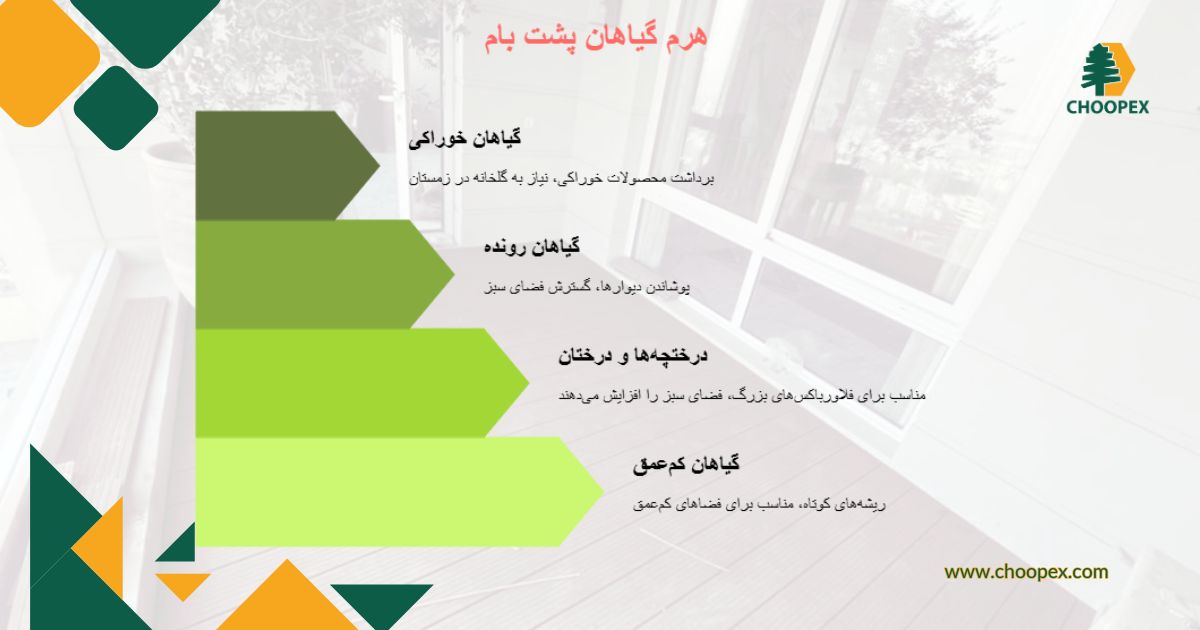 گیاهان مناسب گلخانه و پشت بام