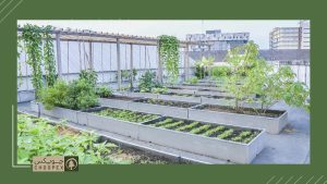 how to design rooftop garden