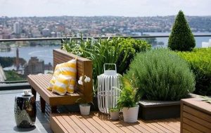 rooftop garden in terrace