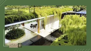 Install A Green Roof in roof garden