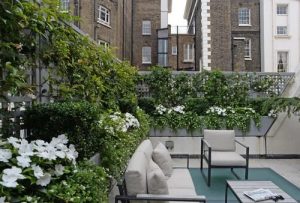 privacy in rooftop garden