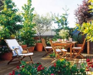 tall trees in rooftop garden