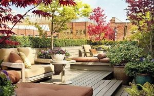 plants in rooftop garden