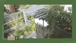 Cope With The Elements in rooftop garden