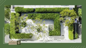 Plant Evergreens in rooftop garden