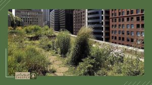 Self-Sustainability in design roof garden