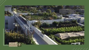 soil for rooftop garden