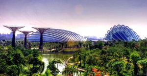 Gardens by the Bay