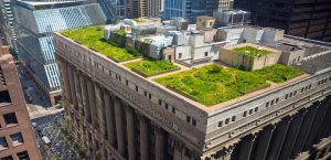 City Hall Rooftop Garden