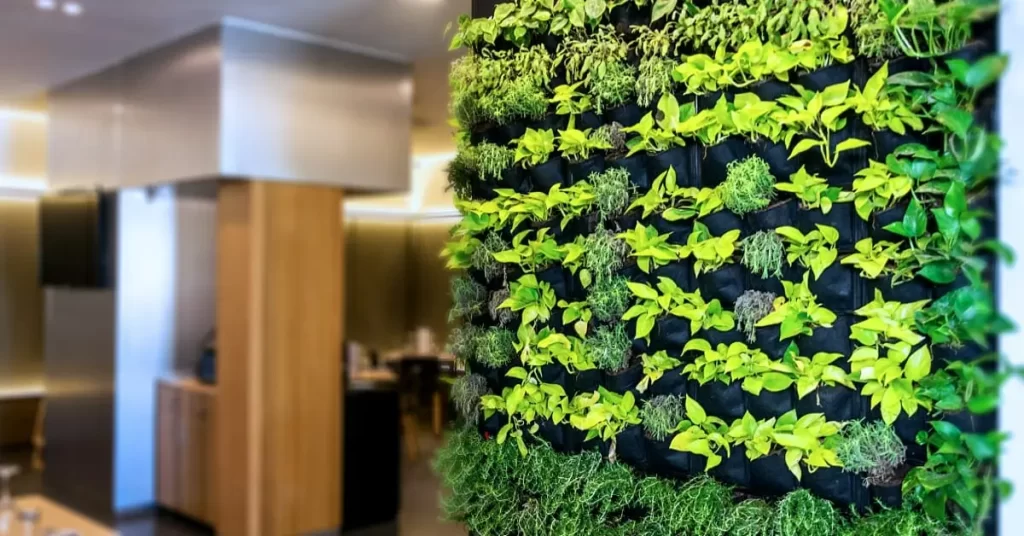 گیاه برای دیوار سبز